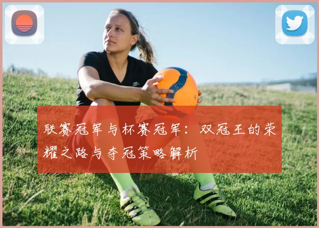 联赛冠军与杯赛冠军:双冠王的荣耀之路与夺冠策略解析