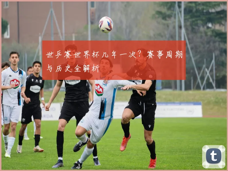 世乒赛世界杯几年一次?赛事周期与历史全解析